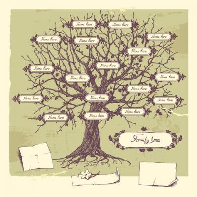 400x400 draw a family tree lovetoknow - Family Tree Drawing