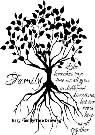 Family Tree Drawing at PaintingValley.com | Explore collection of ...
