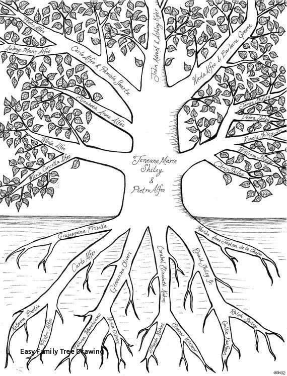 570x748 easy family tree drawing best family tree project images - Family Tree Drawing