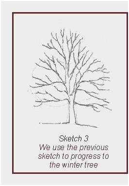 266x383 Tree Drawing Tutorial Wonderfully Best Images About How To Draw - Family Tree Drawing Easy