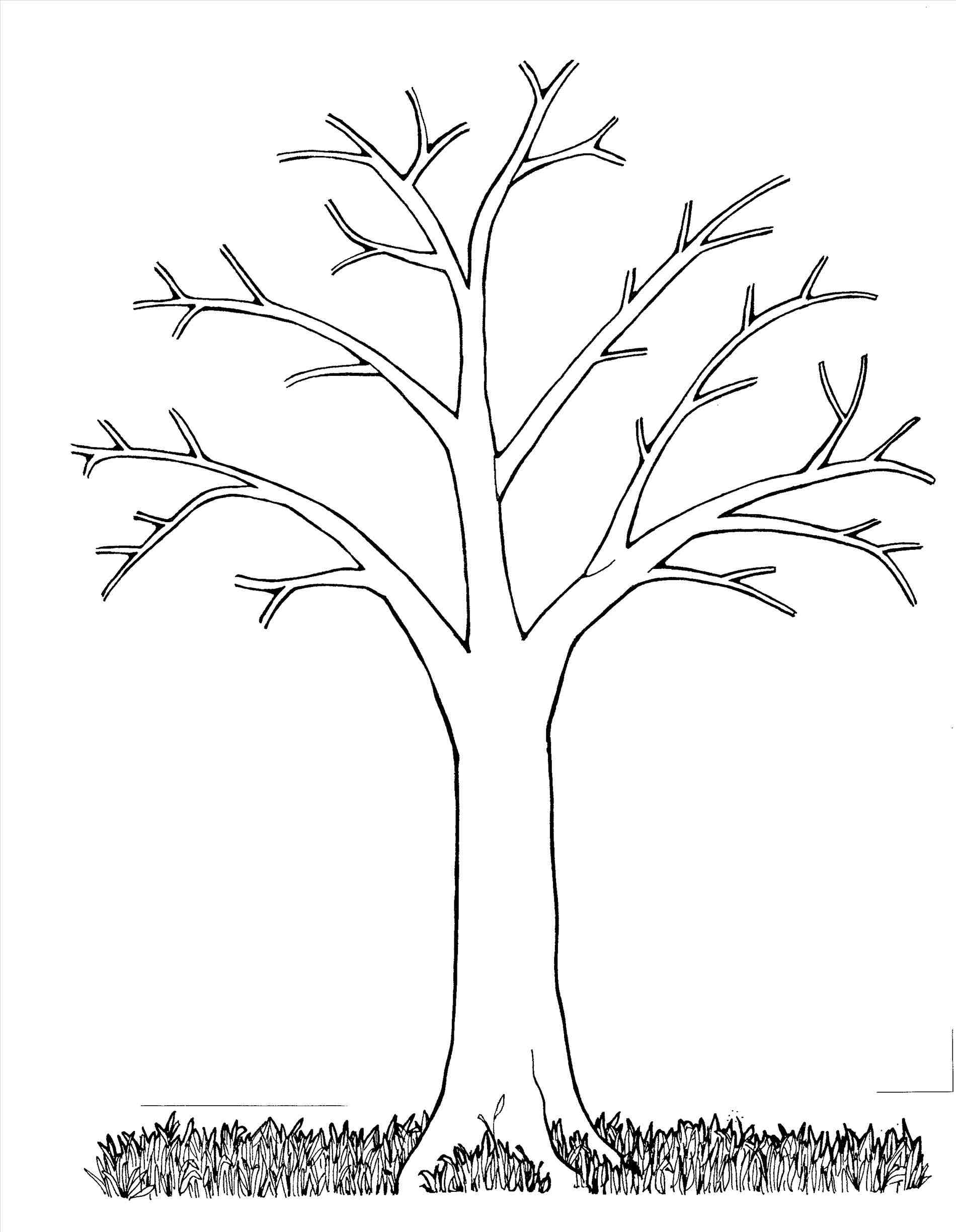 Easy Family Tree Chart