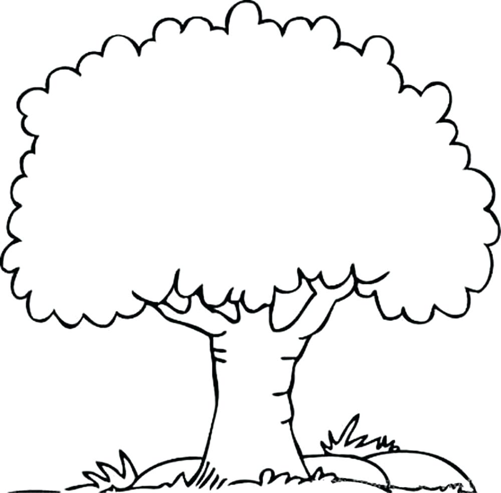 Download Family Tree Drawing Easy at PaintingValley.com | Explore ...