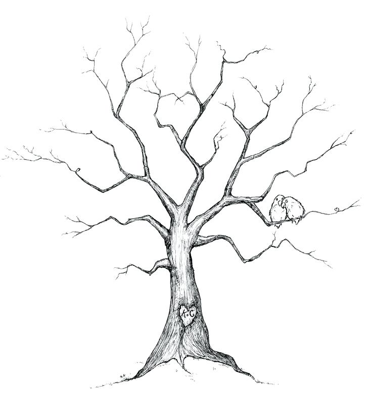 736x828 Create A Family Tree With The Help Of These Free Templates - Family Tree Drawing Free