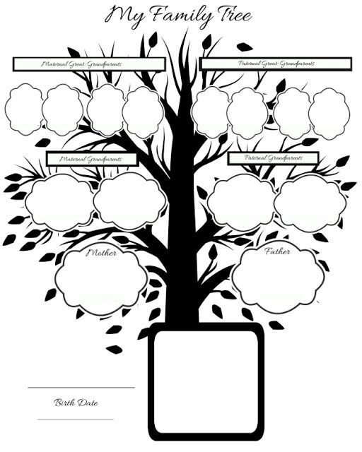 512x640 Your Child's Family Tree Free Printables Family Tree Chart - Family Tree Drawing Free