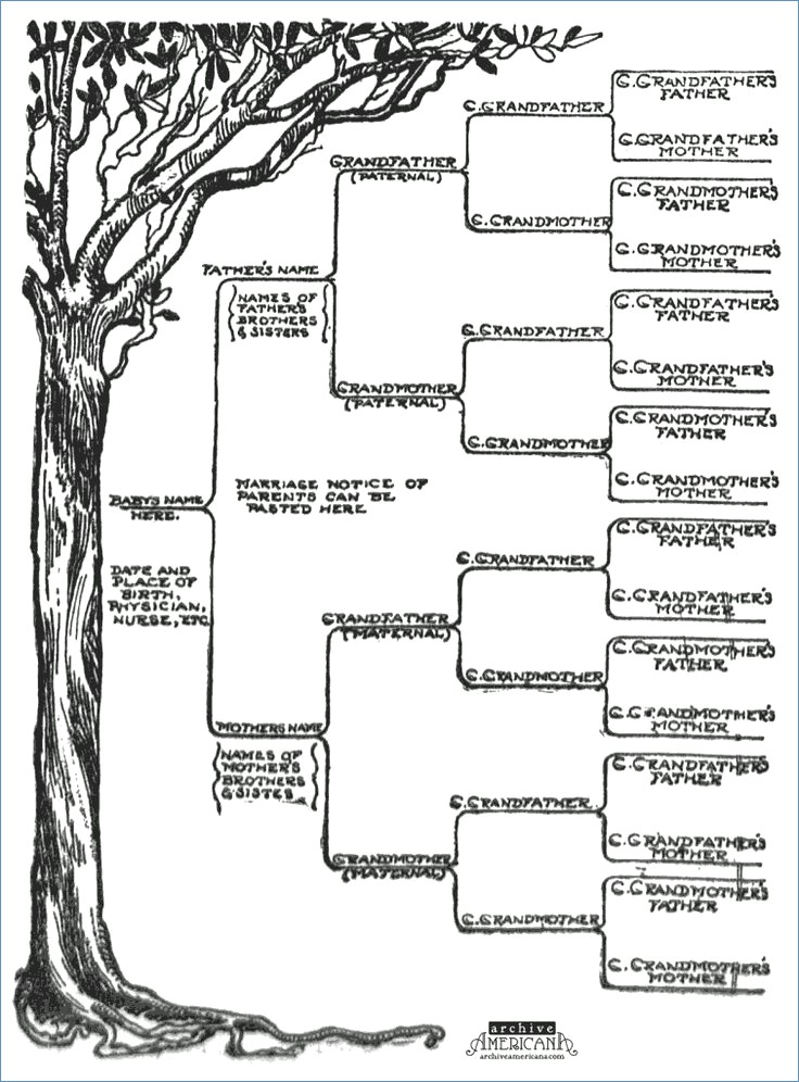 736x996 Best Family Tree Free - Family Tree Drawing Free
