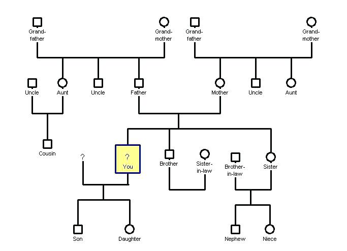 683x494 Draw Family Tree Diagram Free Family Tree Templates Downloads - Family Tree Drawing Ideas