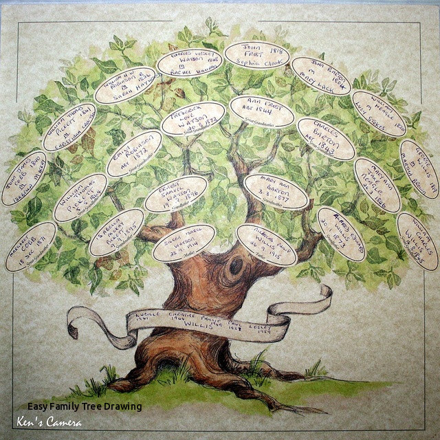 640x640 Easy Family Tree Drawing Best Family Tree Templates Images - Family Tree Drawing Ideas