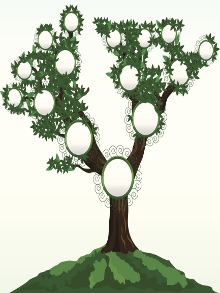 220x293 Family Tree Templates - Family Tree Drawing Ideas