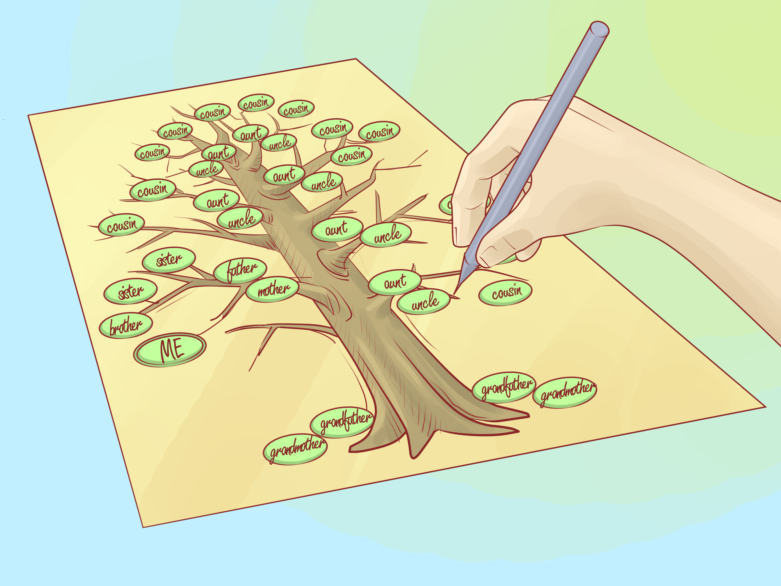 3200x2400 How To Draw A Family Tree Steps - Family Tree Drawing Ideas