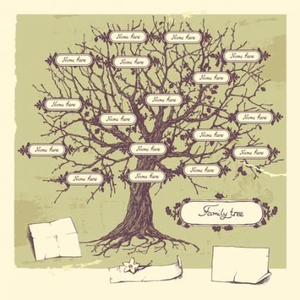 425x425 Cool Family Tree Drawings - Family Tree Drawing Ideas