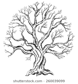 Family Tree Line Drawing at PaintingValley.com | Explore collection of ...