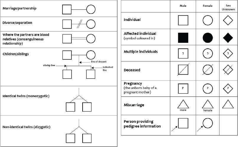 807x498 How Do I Draw A Family History - Family Tree Line Drawing