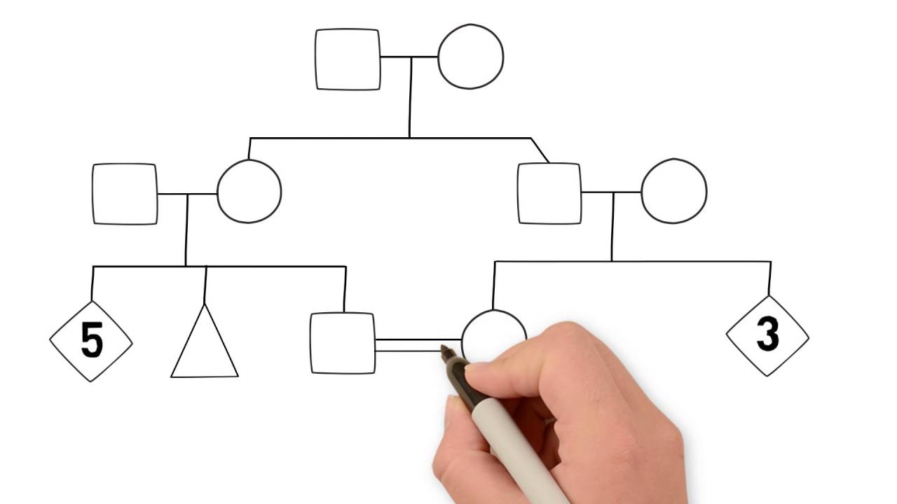 1280x720 How To Draw A Family Tree - Family Tree Line Drawing
