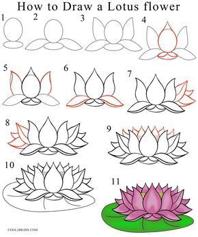 290x347 How To Draw Lotus Flower Step - Fancy Flower Drawing