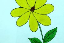 210x140 tag how to make a fancy flower drawing - Fancy Flower Drawing