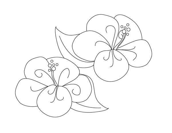 650 Top Colouring Pages Fancy Flower , Free HD Download