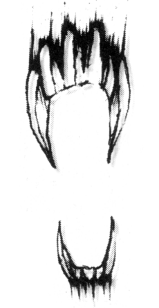 230x444 Night Fangs Wookieepedia Fandom Powered - Fangs Drawing