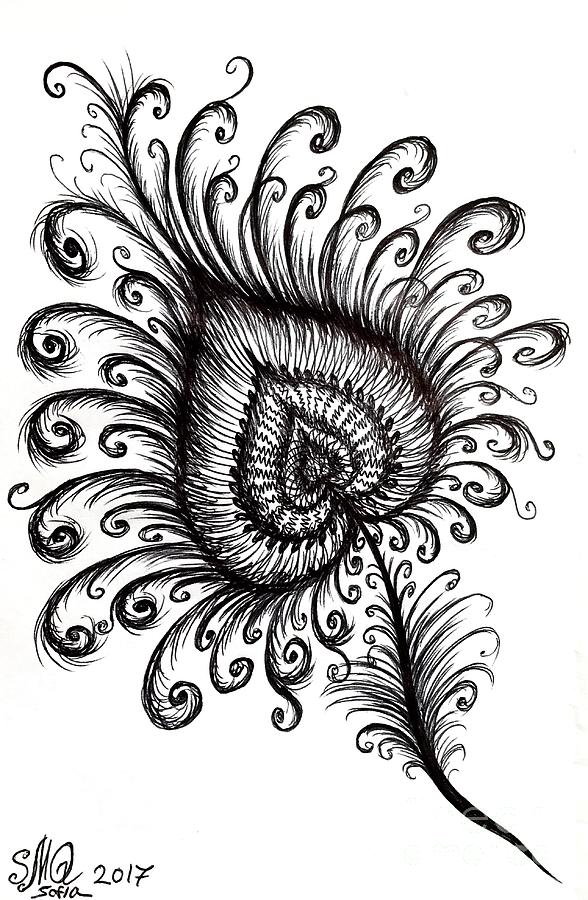 588x900 fantastic peacock feather drawing - Fantastic Drawing
