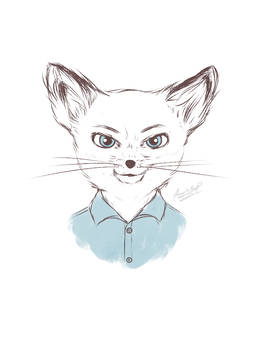 262x350 Fantastic Mr Fox On Wesanderson - Fantastic Mr Fox Drawing