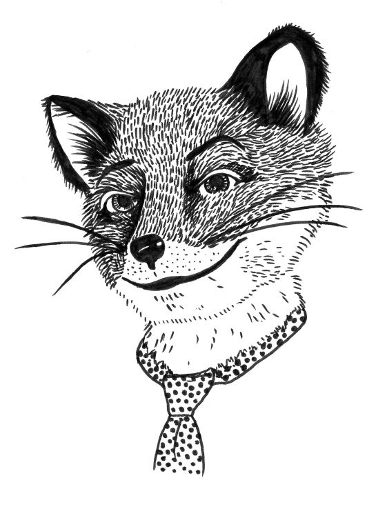 Fantastic Mr Fox Drawing - Fantastic Mr Fox Drawing. 