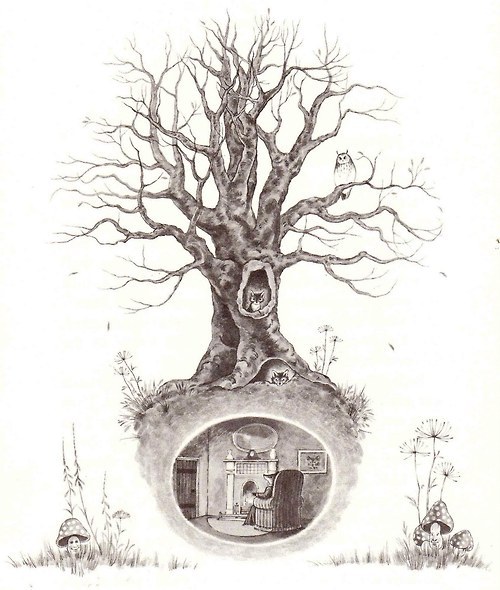 500x590 fantastic mr fox illustration roald dahl - Fantastic Mr Fox Drawing