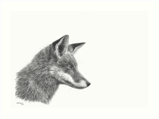 549x413 Fantastic Mr Fox - Fantastic Mr Fox Drawing