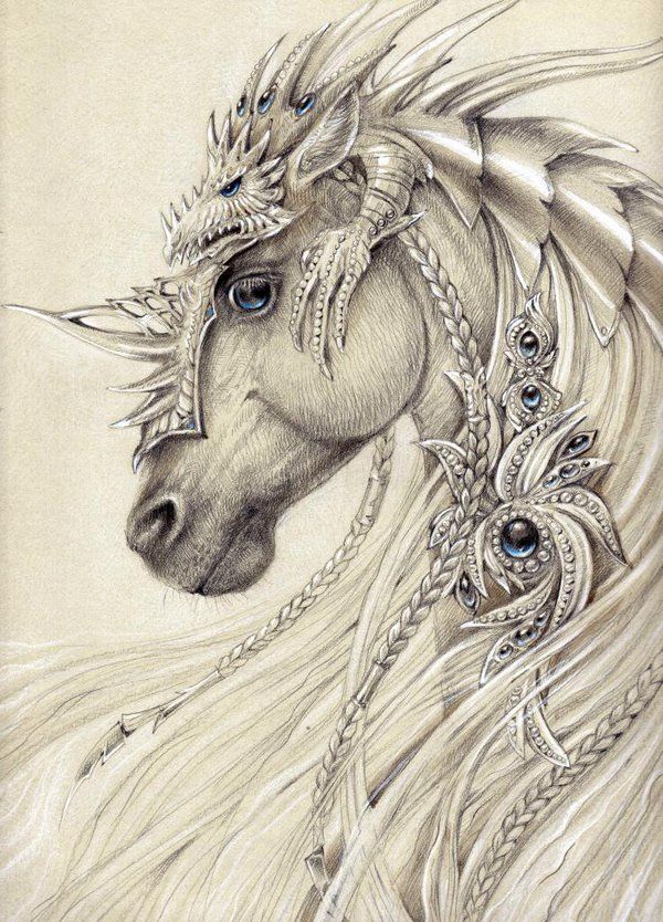 600x834 Elven Horse - Fantasy Art Drawings