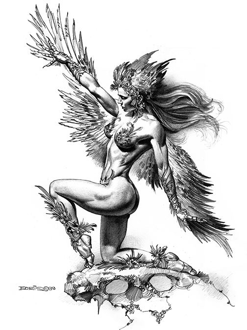 504x672 Bird Woman - Fantasy Art Drawings
