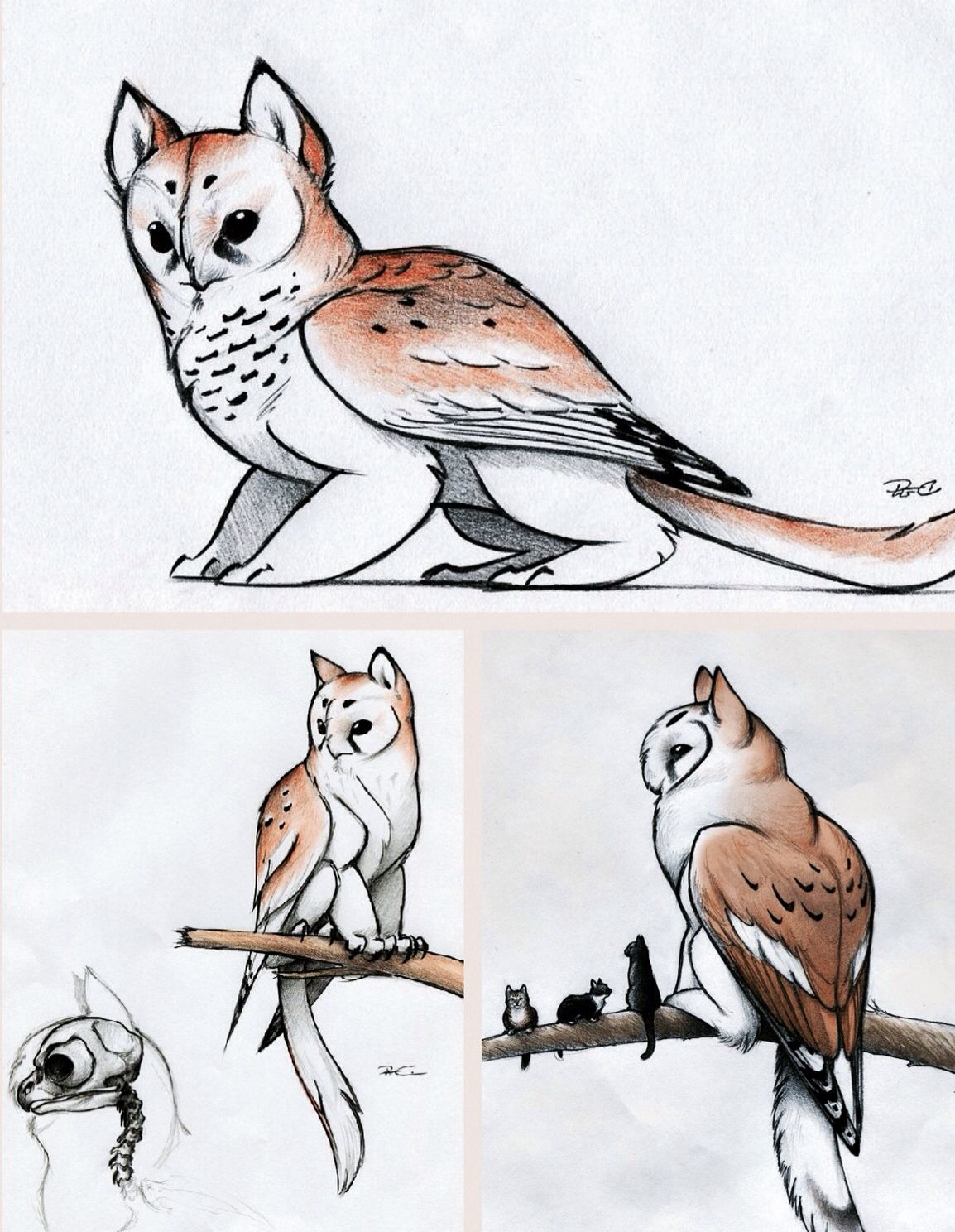 1154x1488 Owl Griffin, They Are So Cute!!! Edited - Fantasy Creatures Drawings