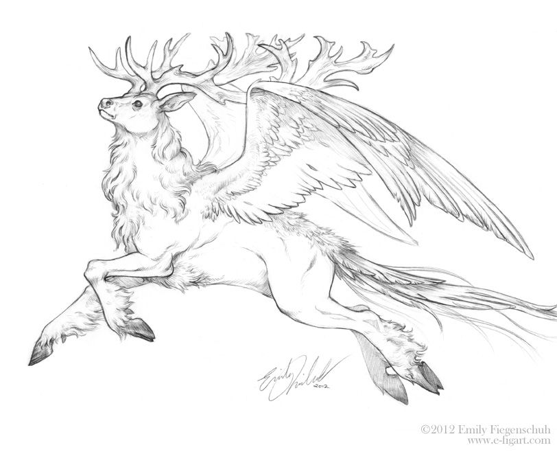 812x661 Mythical Creature Sketches - Fantasy Creatures Drawings