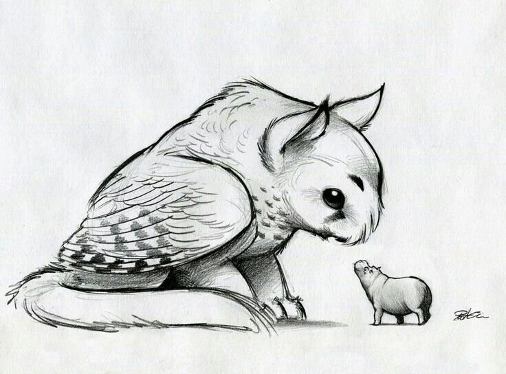 736x544 griffin lineart fantasy creature for free download - Fantasy Creatures Drawings