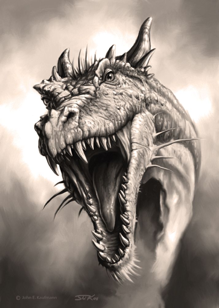 714x1000 Dragonactually Looks Like A Dangerously Sarcastic Ha Ha Ha - Fantasy Dragon Drawings