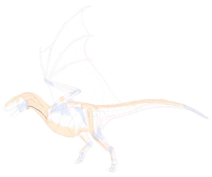 688x576 How To Draw Dragons Step - Fantasy Dragon Drawings