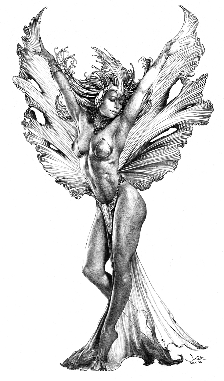 734x1246 Fairy Lady - Fantasy Fairy Drawings