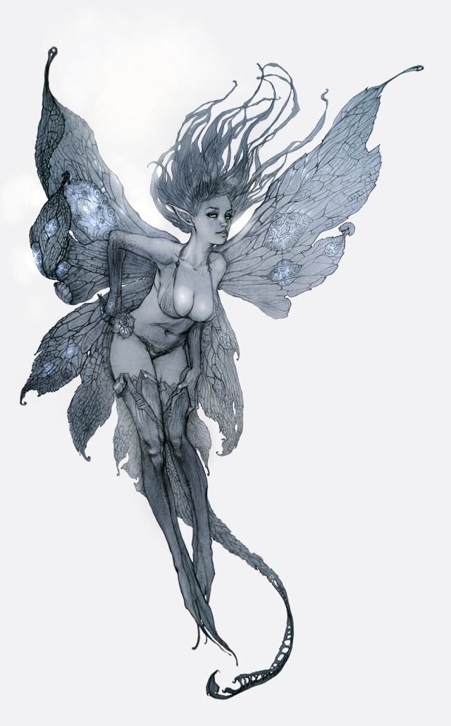 640x1030 Fairy Picture - Fantasy Fairy Drawings
