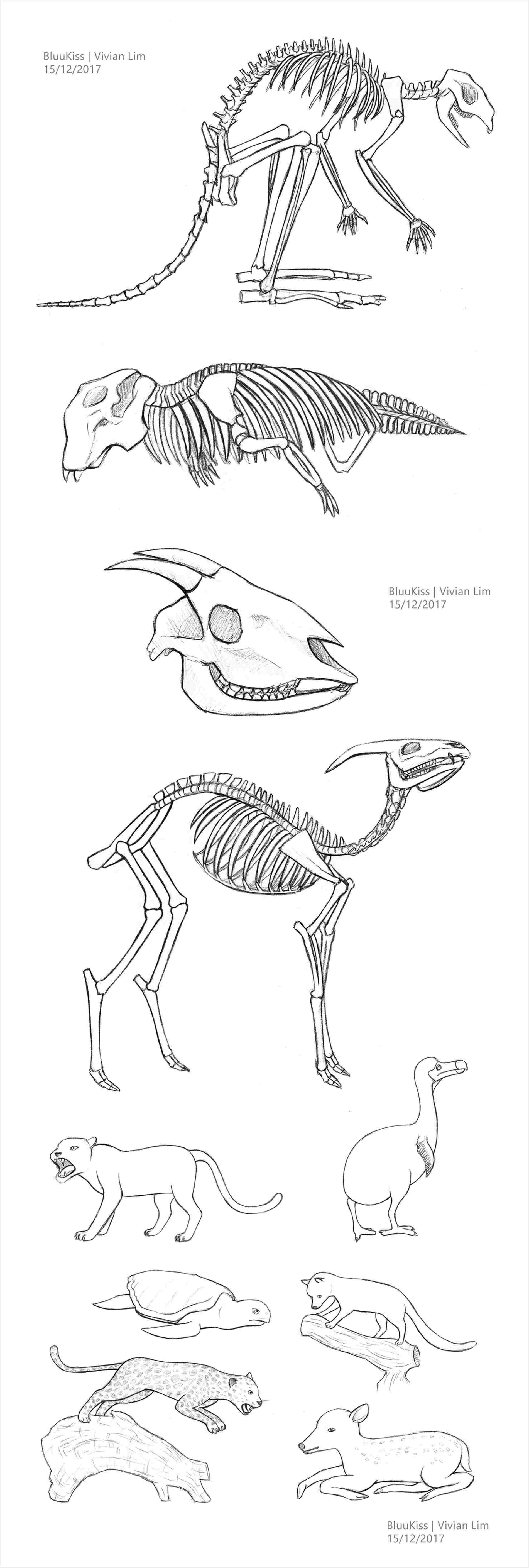 1900x5630 Fantasy Fairy Cool Simple Pencil Drawings - Fantasy Fairy Drawings