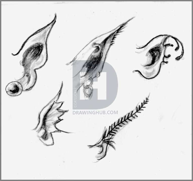 767x720 How To Draw Realistic Fairies, Draw A Realistic Fairy, Step - Fantasy Fairy Drawings