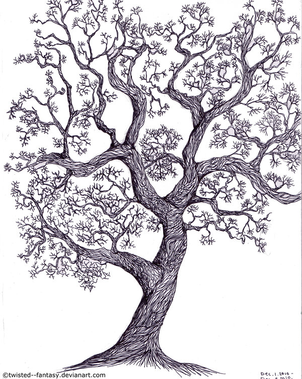 Fantasy Tree Drawing at Explore collection of