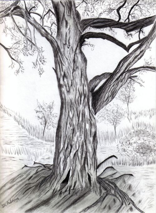500x681 fantasy tree i debbie adams foundmyself - Fantasy Tree Drawing