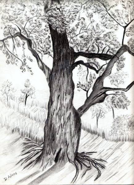 434x600 fantasy tree ii debbie adams foundmyself - Fantasy Tree Drawing