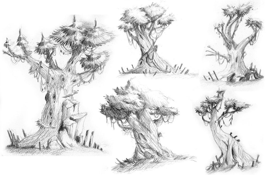 1110x720 Image Result For Fantasy Tree Drawings Trees - Fantasy Tree Drawing