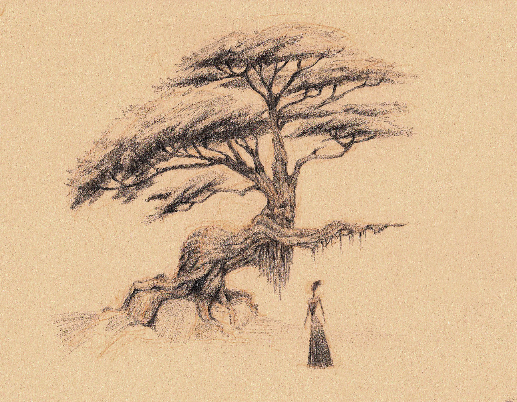 1808x1407 Moura - Fantasy Tree Drawing