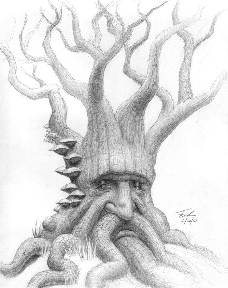 800x1010 Fantasy Tree Drawings - Fantasy Tree Drawing