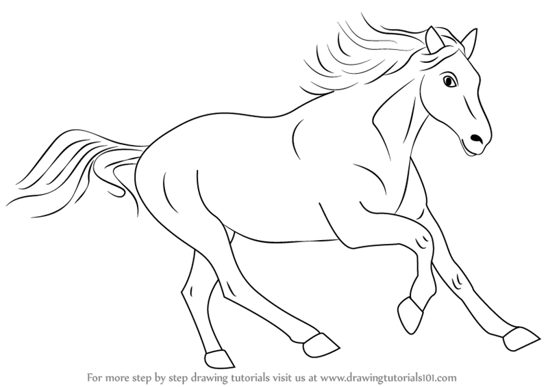 800x566 learn how to draw a cleveland bay horse - Farm Animals Drawing