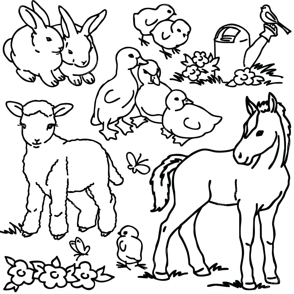 Farm Animals Drawing at Explore collection of Farm