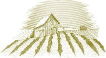 211x115 Farm Field Drawing Stock Vectors - Farm Field Drawing
