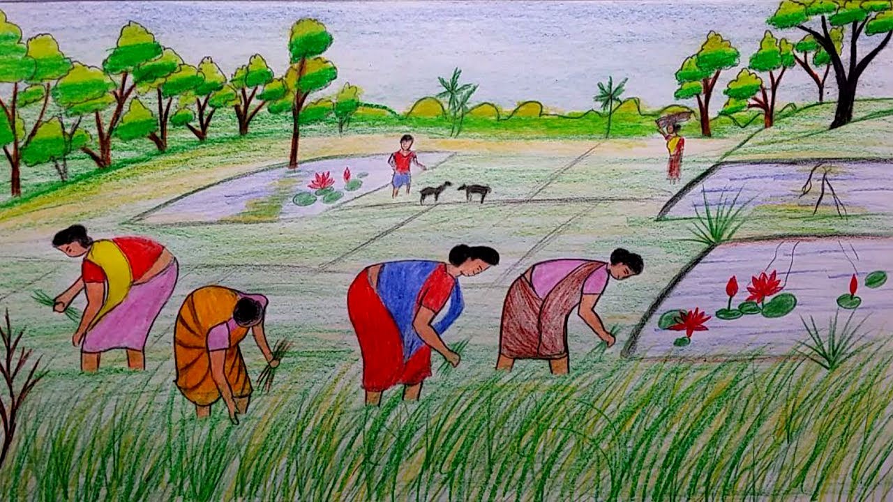 Farm Field Drawing at Explore collection of Farm