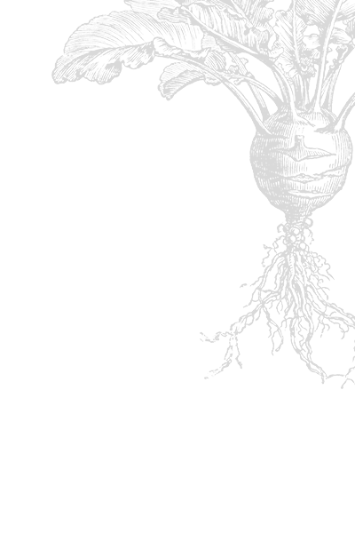 400x600 Drawing Farmhouse Farm Field Transparent Png Clipart Free - Farm Field Drawing