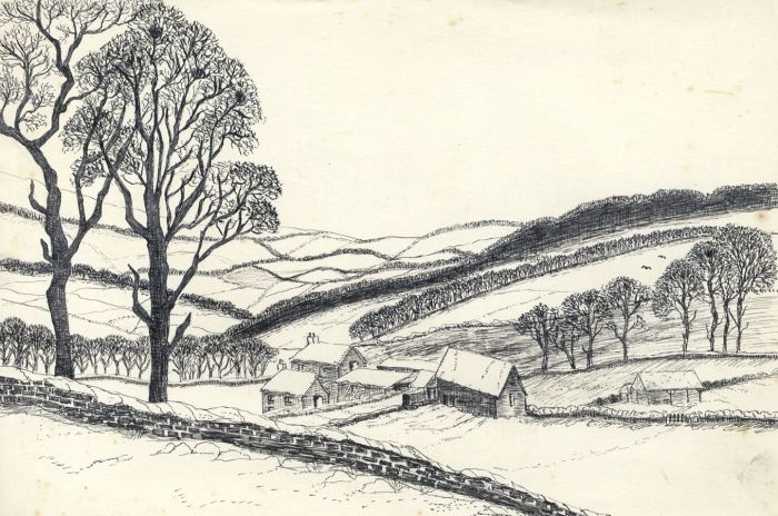 700x464 elizabeth painter - Farm Landscape Drawing