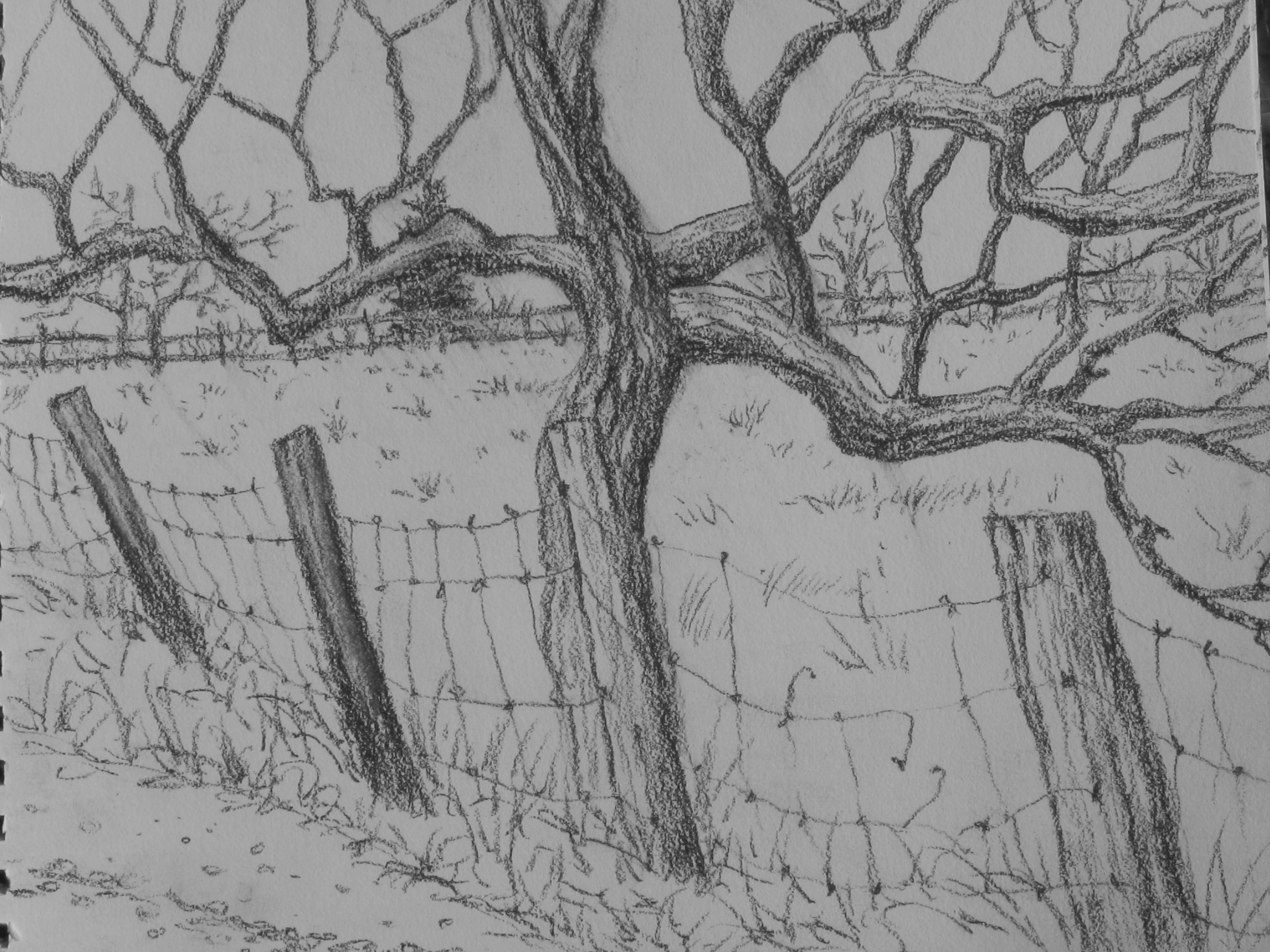 2229x1671 farm drawing farm landscape for free download - Farm Landscape Drawing